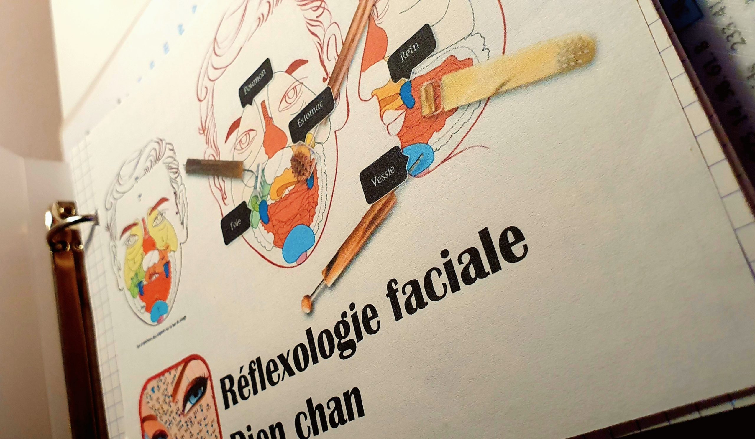 Réflexologie faciale Menton 06500