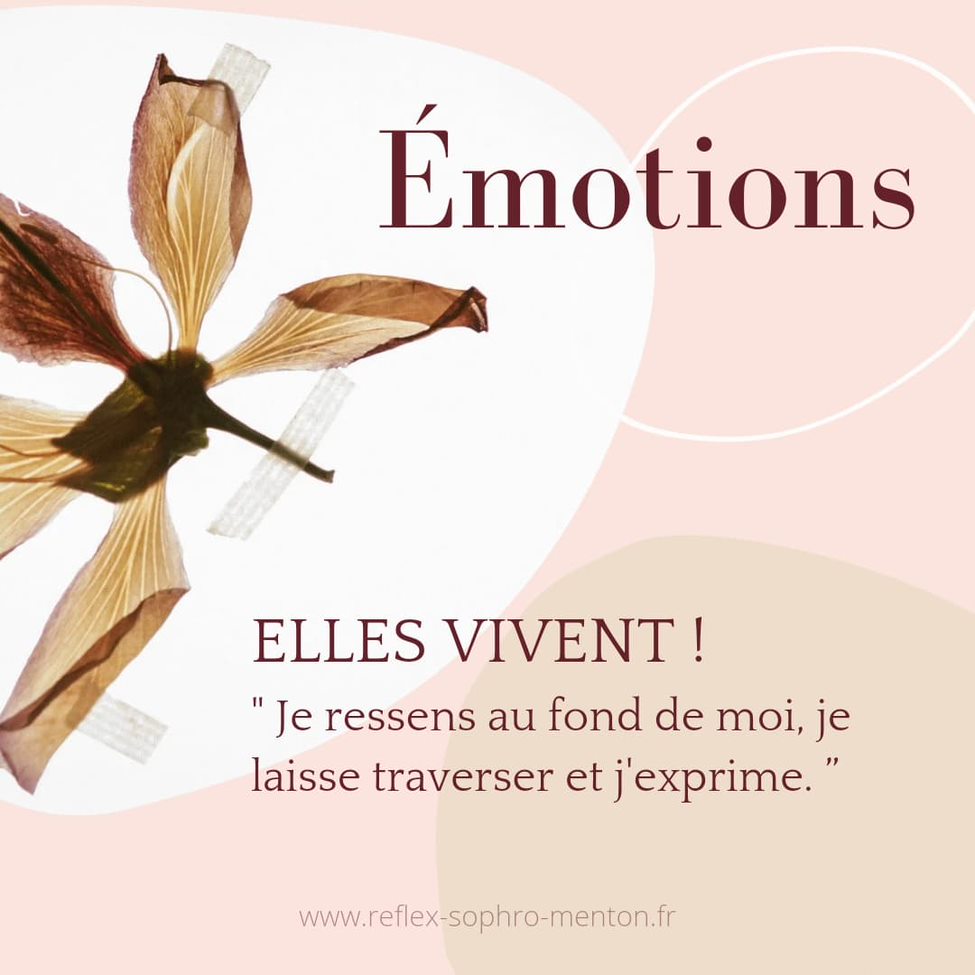 Les-Emotions-vivent-Ingridhoutcief-sophrologue-Menton06